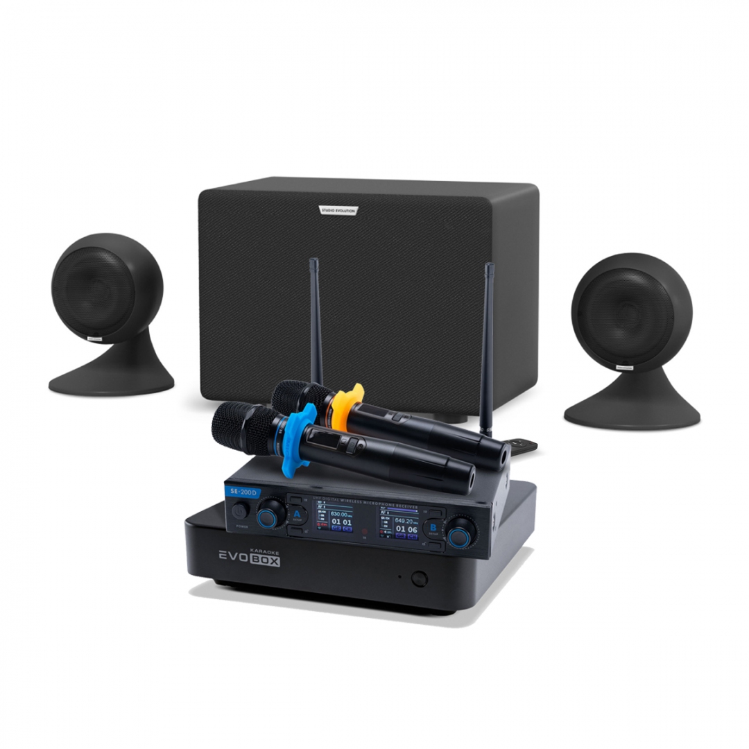 караоке-комплект EVOBOX + EvoSound Sphere 2.1 в Моздоке