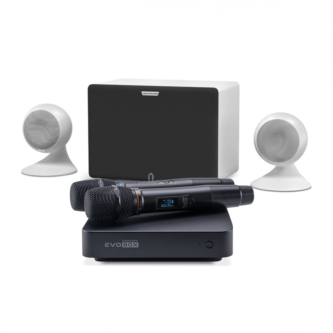 караоке-комплект EVOBOX Classic + EvoSound Sphere 2.1 в Моздоке