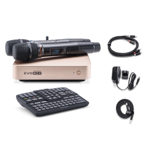 EVOBOX Classic караоке-система для дома в Моздоке