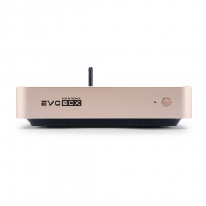EVOBOX Plus караоке-система для дома в Моздоке